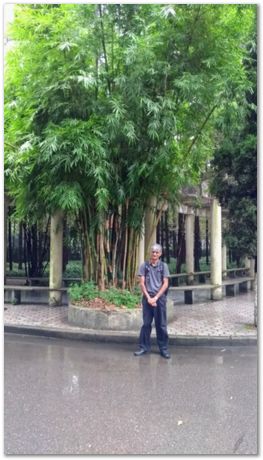 Harry Bhadeshia, Wuhan, China, Wuhan University of Science and Technology, WUST, Steels, Physical Metallurgy, 2017