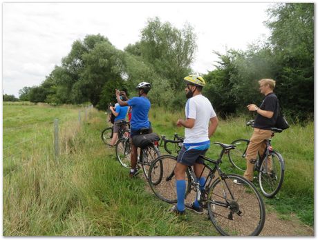 img_2972_alpaca_view.jpg Houghton Mill, St Ives