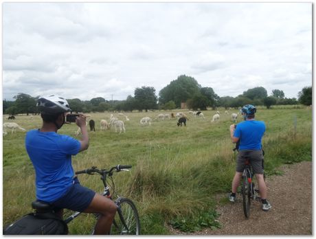 Houghton Mill, St Ives
