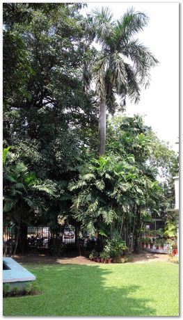 20170904_130425.jpg Tata Steel, Harry Bhadeshia, Tata Steel Professor of Metallurgy, Cambridge University, Jamshedpur, India, 2017