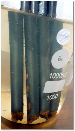 20170914_150425.jpg Tata Steel, Harry Bhadeshia, Tata Steel Professor of Metallurgy, Cambridge University, Jamshedpur, India, 2017