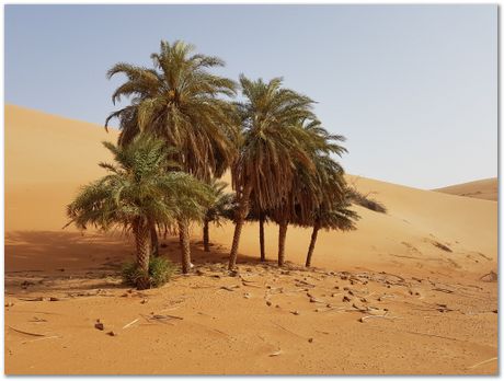 Girish Nivarti,Chris Hulme-Smith, Dominik Dziedzic,Harry Bhadeshia, bainite,squash, Adam Bevan, Jay Jaiswal, Wiberth Solano, Shahin, Steve Ooi, Shubeur Rahman, Abu Dhabi, garden party