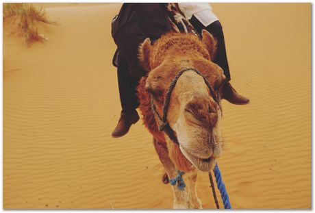 Morocco, Zixin Huang