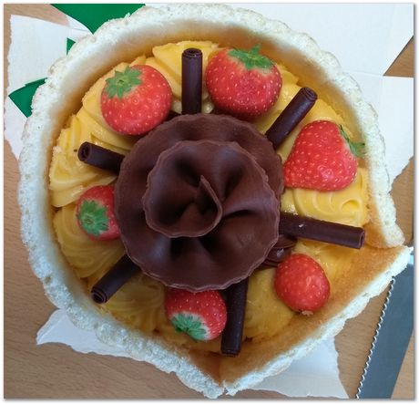 img_20191128_110713584.jpg Omar Shah, Sarah Martin, University of Cambridge, Soraya von Willingh, University of Cape Town, Harry Bhadeshia, cakes, crystallography, symmetry